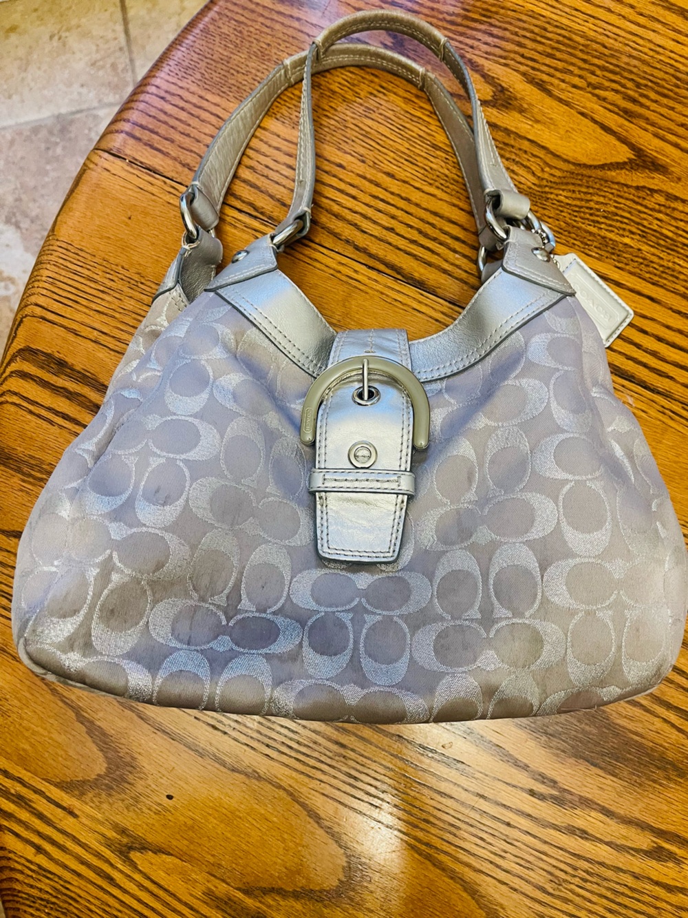 Coach Silver/Light Gray Signature Buckle Shoulder Bag